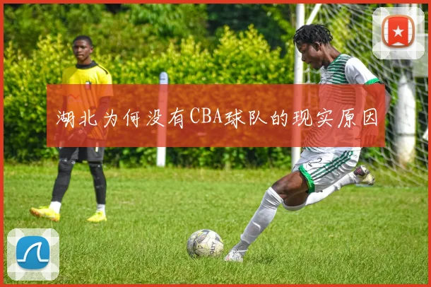 湖北为何没有CBA球队的现实原因