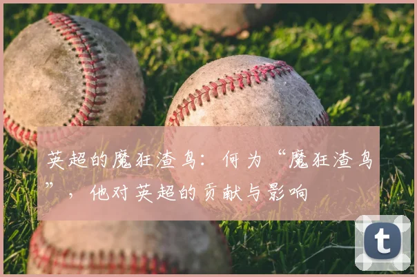 英超的魔狂渣鸟：何为“魔狂渣鸟”，他对英超的贡献与影响