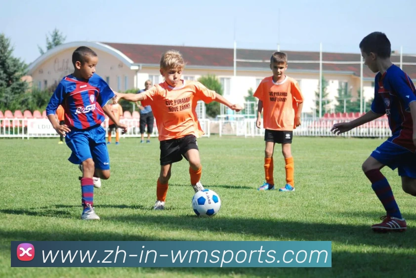 多媒体互动体验